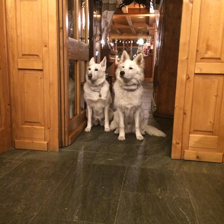 Hotel Lyshaus เกรสโซเนย์-เซนต์-ฌอน ภายนอก รูปภาพ