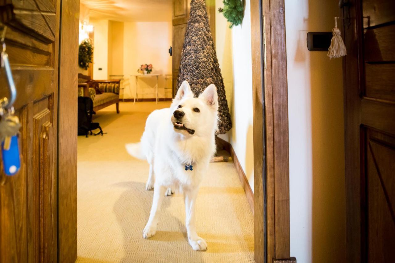 Hotel Lyshaus เกรสโซเนย์-เซนต์-ฌอน ภายนอก รูปภาพ